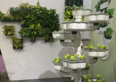 Hydroponic growing systems and vegetable towers.